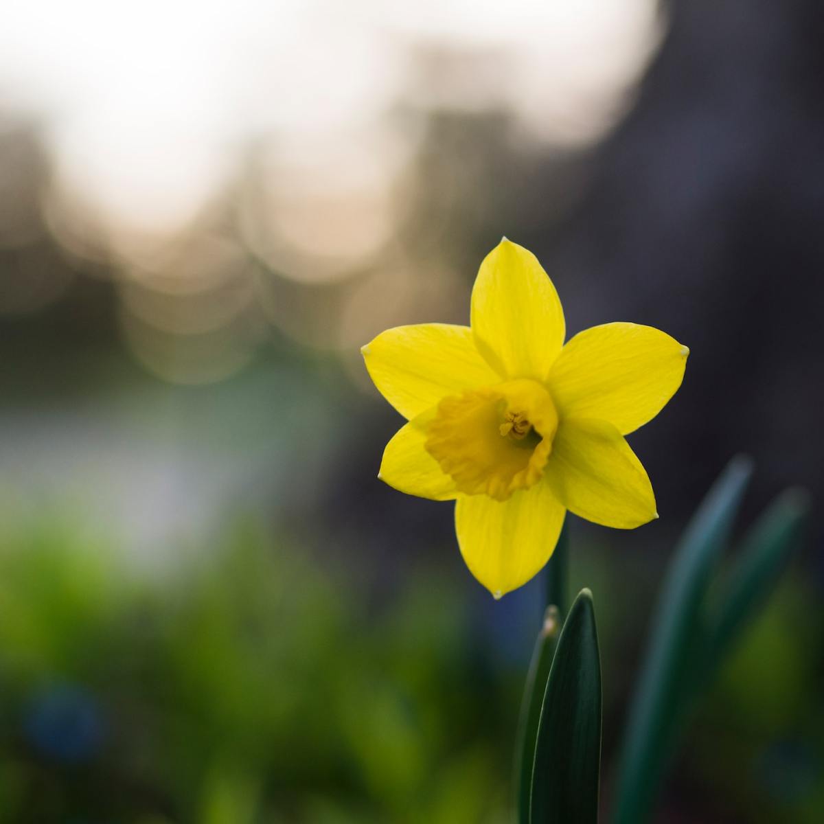 Celebrating with your&nbsp;Journal