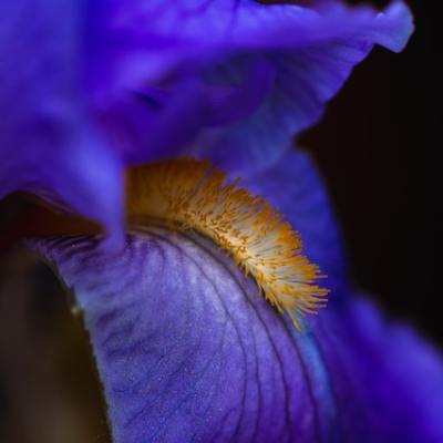 5 Equinox Prompts to Awaken Curiosity &&nbsp;Wonder